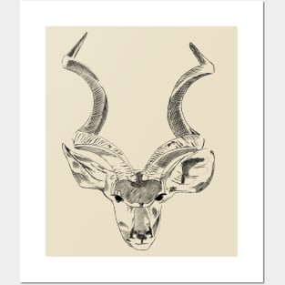 African Kudu - Black Posters and Art